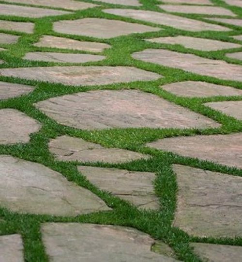 grass and pavers